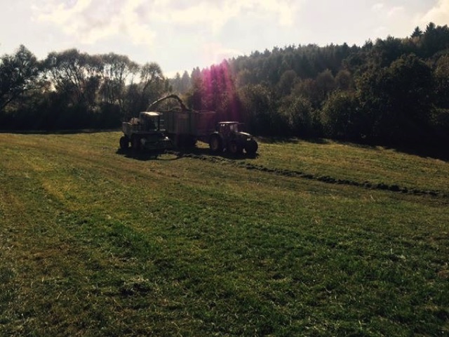 gras haeckseln 2 thumb